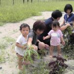 Thumbnail of post image 012
