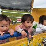 Thumbnail of post image 031