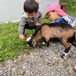 Thumbnail of post image 111