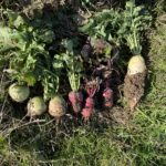 Thumbnail of related posts 159