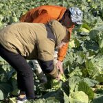 Thumbnail of post image 191