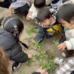 Thumbnail of post image 085