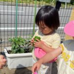 Thumbnail of post image 089