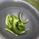 Thumbnail of post image 092