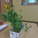 Thumbnail of post image 105