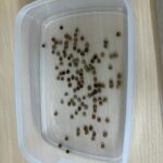 Thumbnail of post image 050